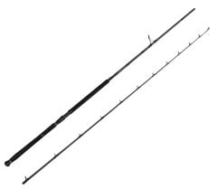 Savage Gear Defiance SG2 Shore Jig 2.90m 50-120gr 2 Parça Olta Kamışı